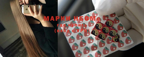 дмт Абаза