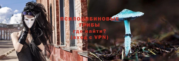 дмт Абаза