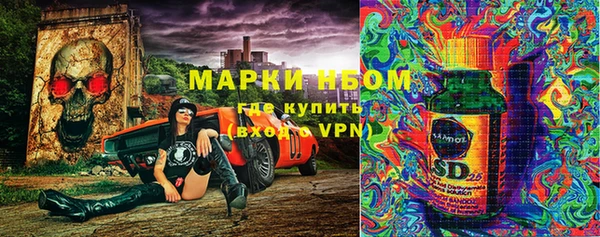 ПСИЛОЦИБИНОВЫЕ ГРИБЫ Алексеевка