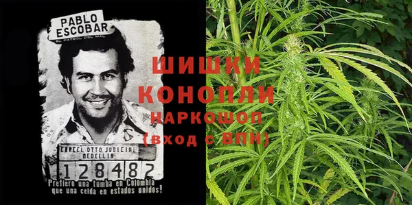 дмт Абаза