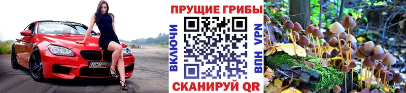 ОМГ ОМГ Горбатов Псилоцибиновые грибы прущие грибы